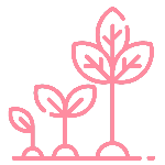 Growth